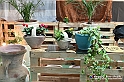 VBS_6501 - Expocasa 2022